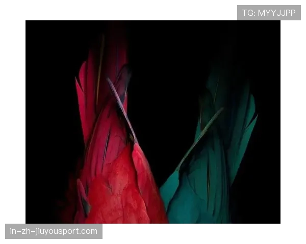 全球摄影师作品展览在广州举行，全球摄影精选