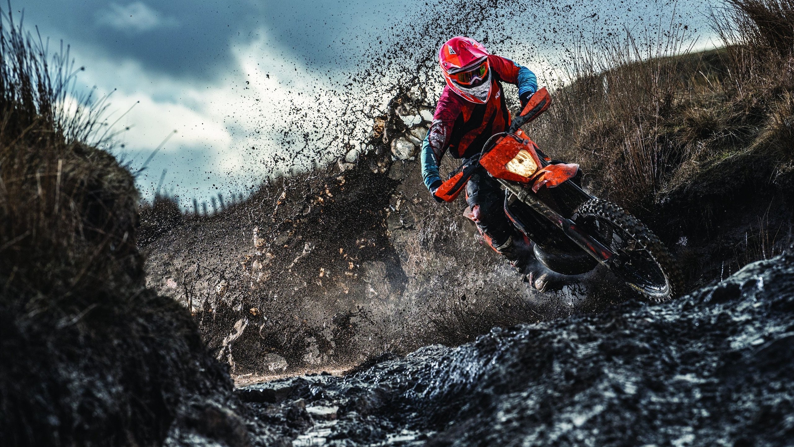 南非橄榄球战术创新走向国际，能否再次打破强队格局，南非获得橄榄球世界杯